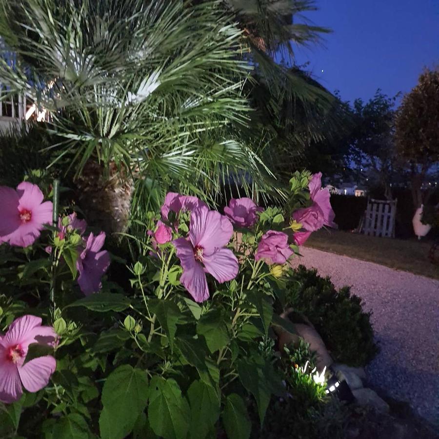 Bnb Fano Collina. La Pace Di Una Vacanza Piagge Экстерьер фото