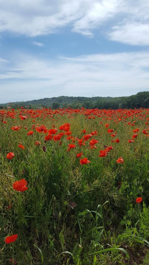 Bnb Fano Collina. La Pace Di Una Vacanza Piagge Экстерьер фото
